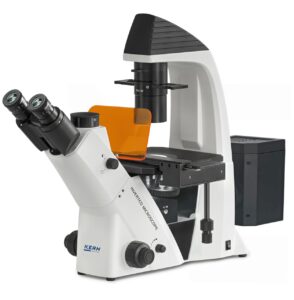 OCM 167 2022e