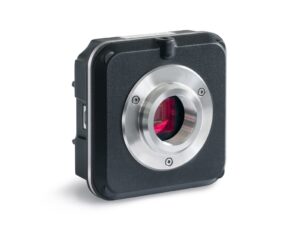 ODC 831